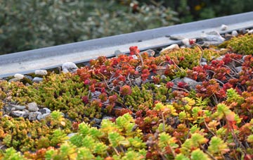 the cost of Bergh Apton green roof installation