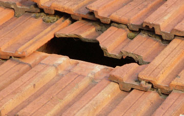 roof repair Bergh Apton, Norfolk