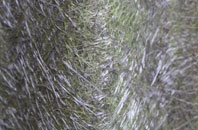 Bergh Apton fibreglass roof work